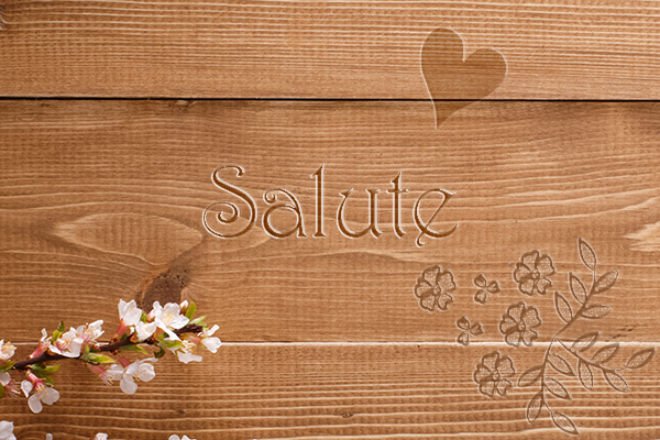 SalutE